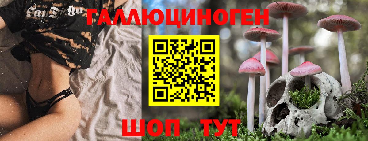 Псилоцибиновые грибы Magic Shrooms  Галлюциногенные грибы мухоморы  Вход с VPN  Санкт-Петербург 